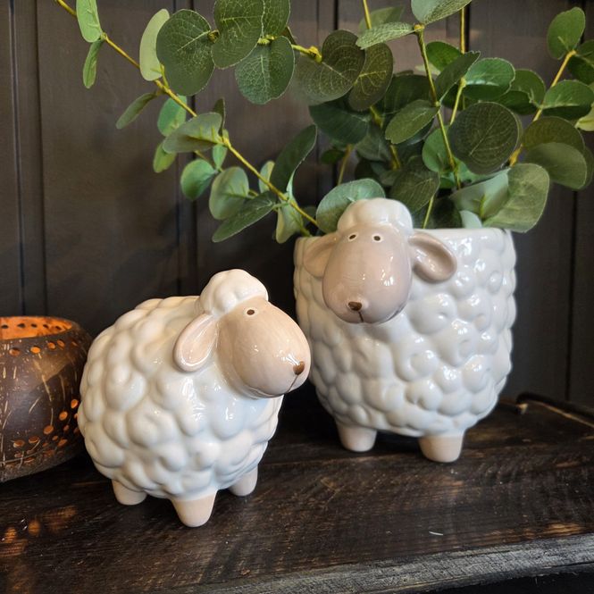 Hovedbilde Potteskjuler sau Shaun