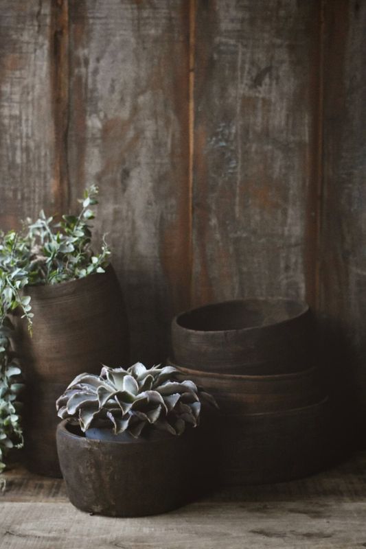Vintage trepotte
