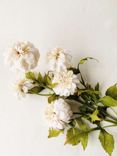 Hovedbilde Dahlia-bukett hvit