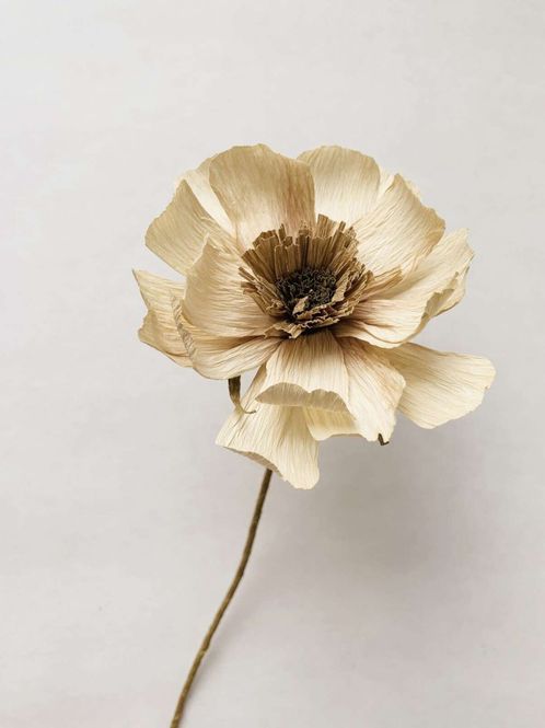 Hovedbilde Papirblomst sand/creme