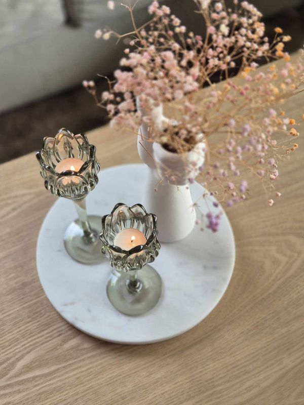 Lyslykt grønn blomst lav