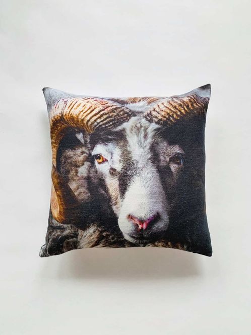 Hovedbilde Putetrekk med trykk vær